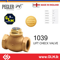 PEGLER BRONZE LIFT CHECK VALVE DN20 (¾
