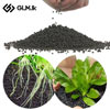 Plants Seeds, Soil & Fertilizers (0)